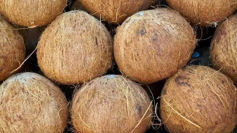Coco