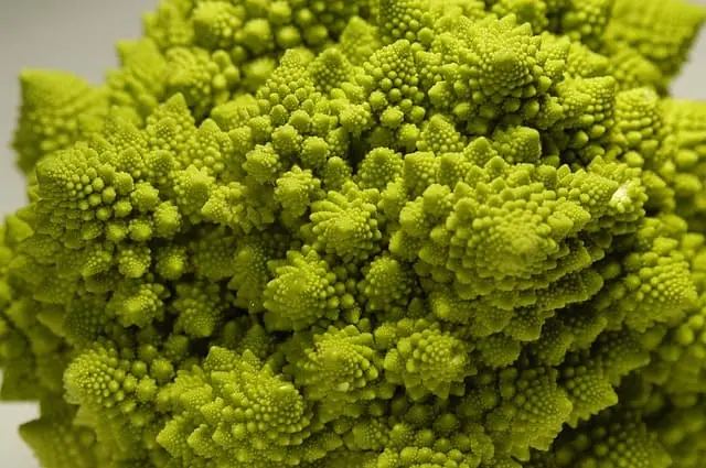 Col Romanesco