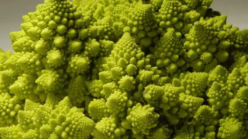 Col Romanesco