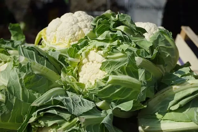 Coliflor