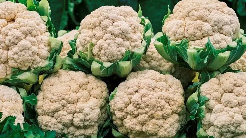 Coliflor