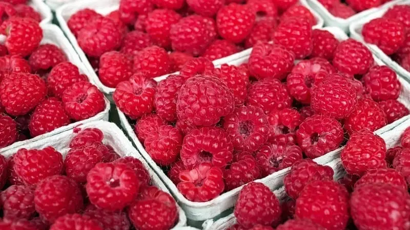 Frambuesas