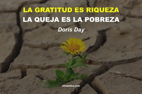Frases de Gratitud