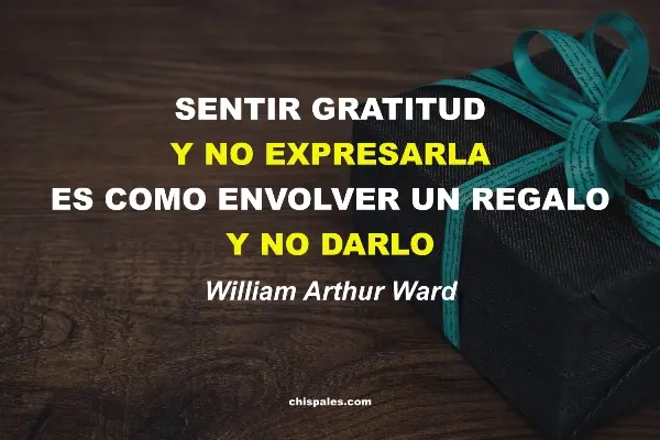 Frases de Gratitud