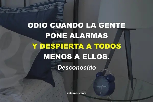 Frases divertidas