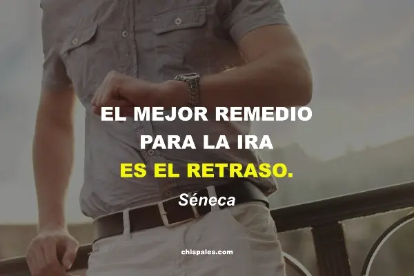 Frases sobre la Ira