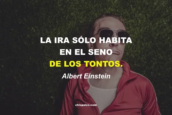 Frases sobre la Ira