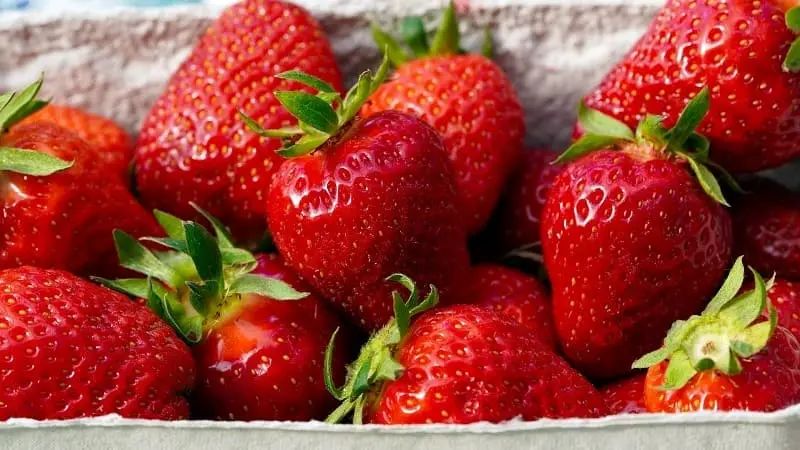 Fresas