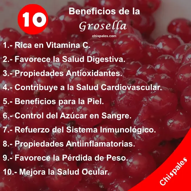 10 Beneficios de la Grosella