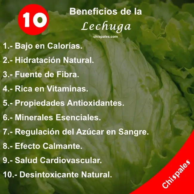 10 Beneficios de la Lechuga