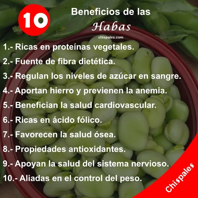 10 Beneficios de las Habas