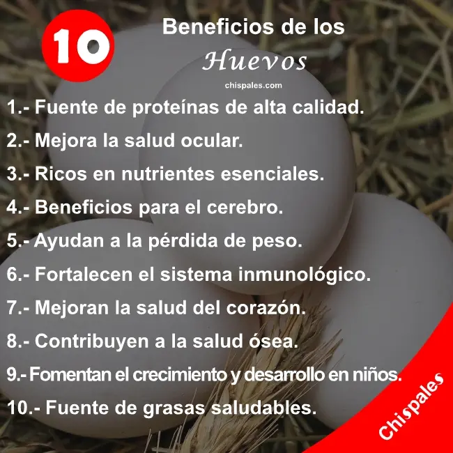 10 Beneficios de los Huevos