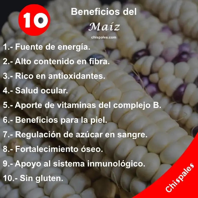 10 Beneficios del Maíz