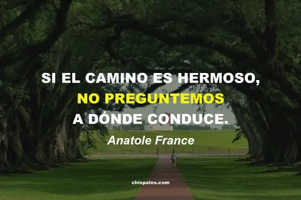 Frases Hermosas