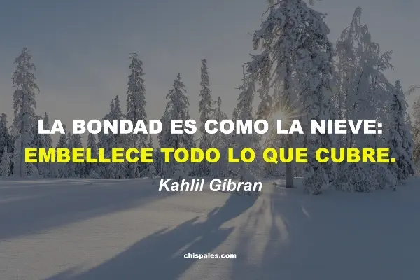 Frases Hermosas