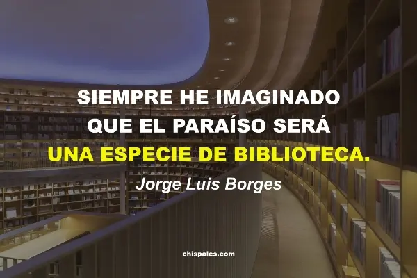 Frases sobre un Libro