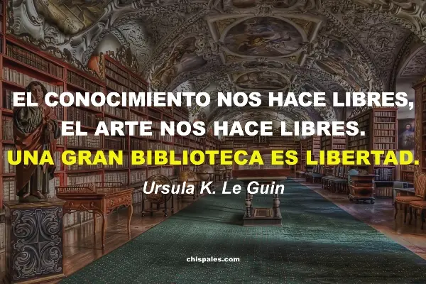 Frases sobre un Libro