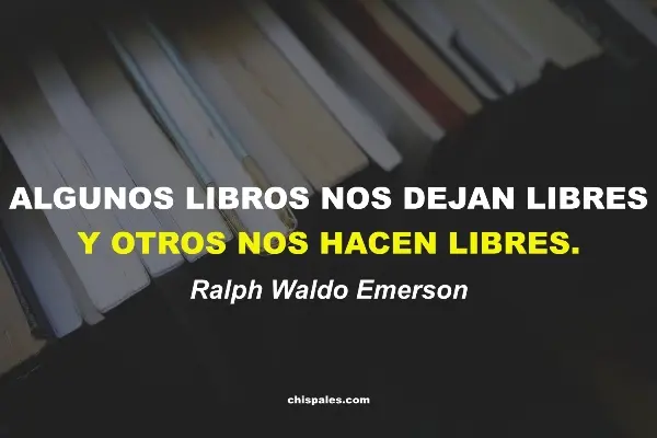 Frases sobre un Libro