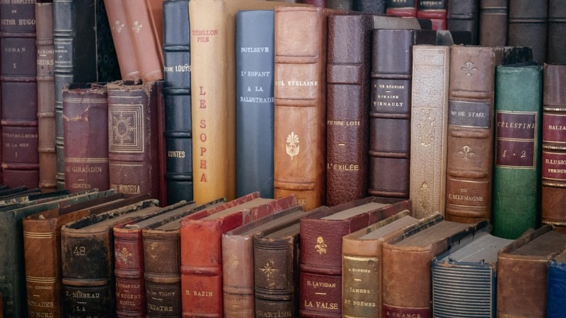 Frases sobre un Libro