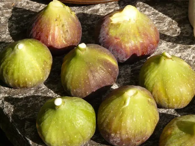 Higos