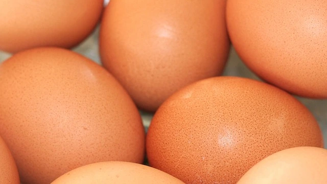 Huevos