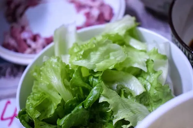 Lechuga