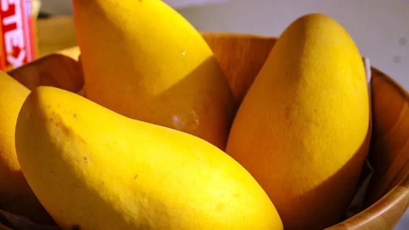 Mango