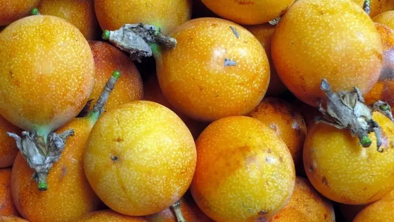 Maracuyá