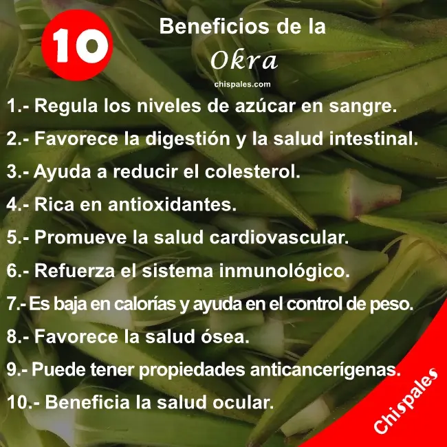 10 Beneficios de la Okra