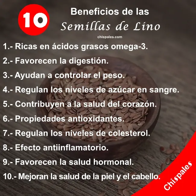 10 Beneficios de las Semillas de Lino