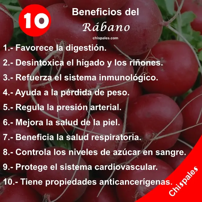 10 Beneficios del Rábano