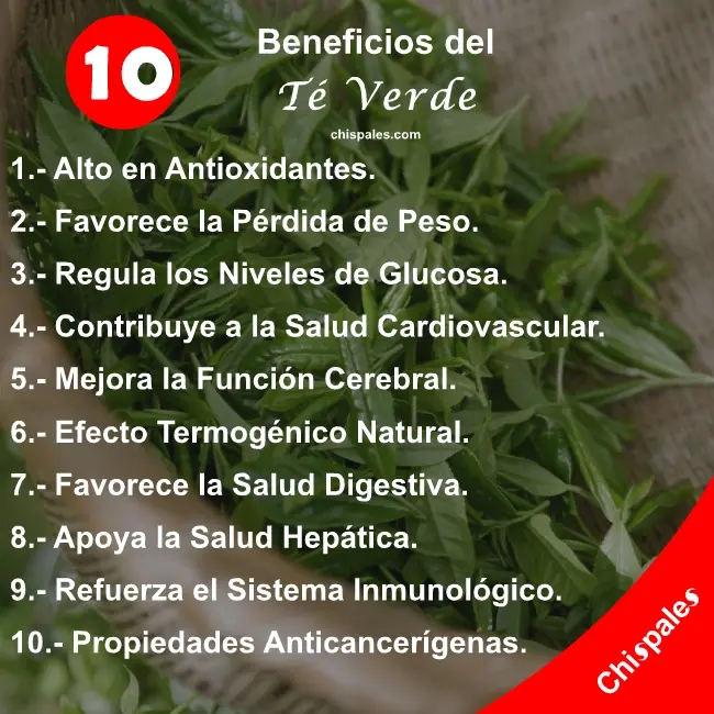 10 Beneficios del Té Verde