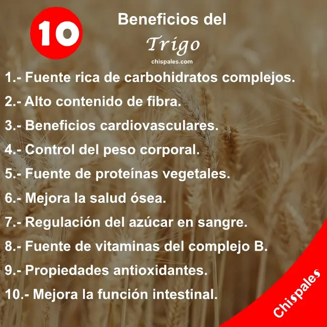 10 Beneficios del Trigo