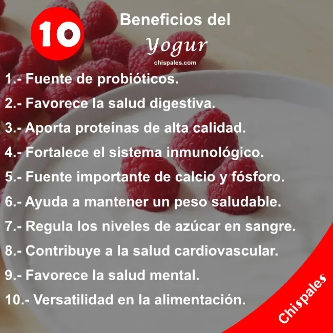 10 Beneficios del Yogur