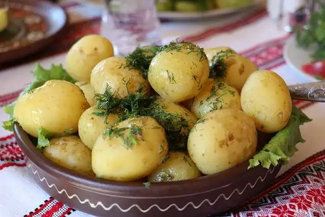 Papas