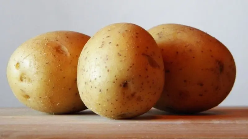 Papas