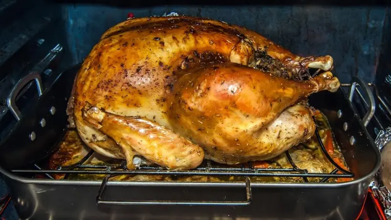 Pavo
