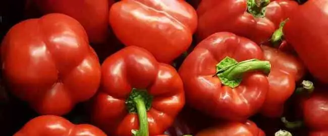 Pimiento