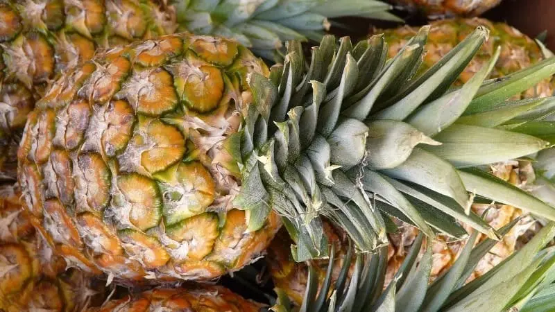Piña