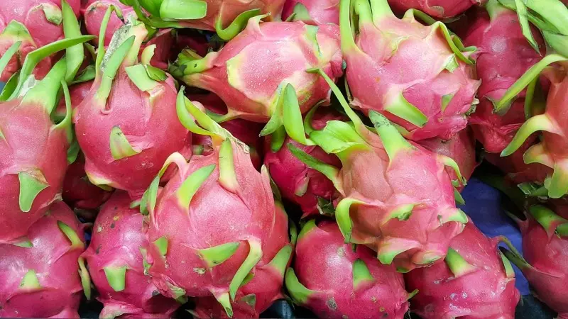 Pitahaya