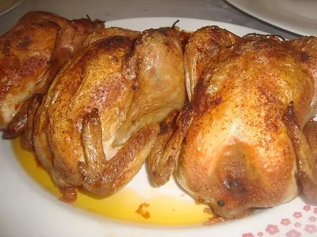 Pollo