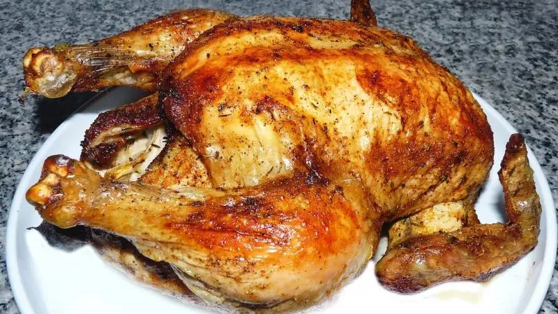 Pollo