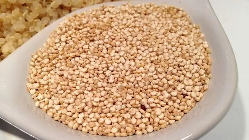 Quinoa