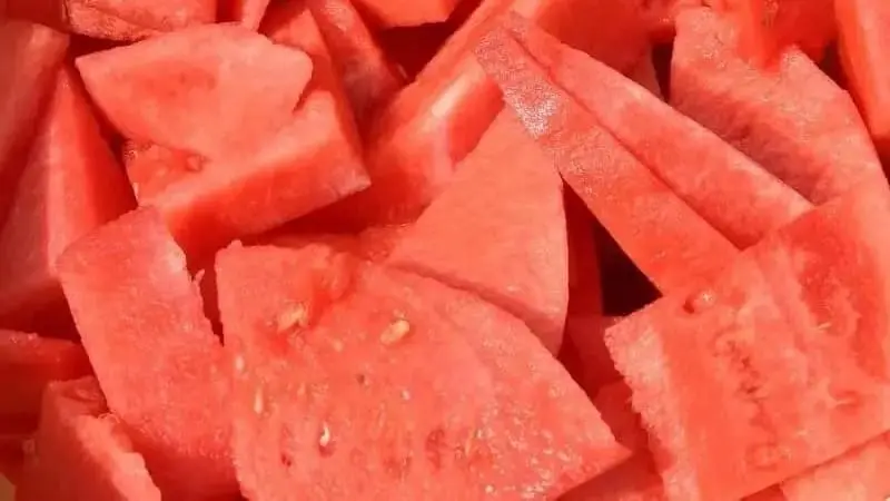 Sandia