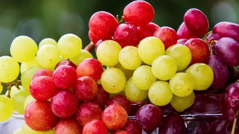 Uvas