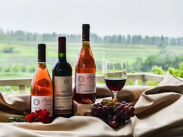 Vino