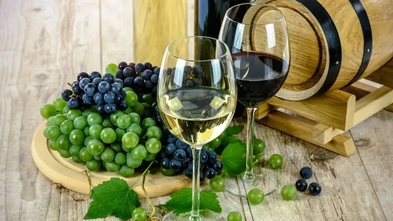 Vino